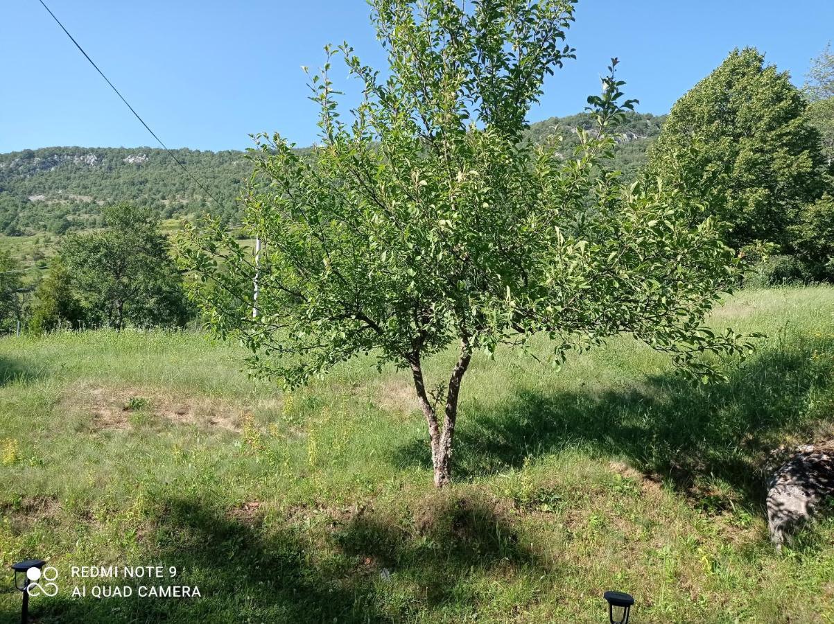 Studio Apartman Sonja Otočac Εξωτερικό φωτογραφία