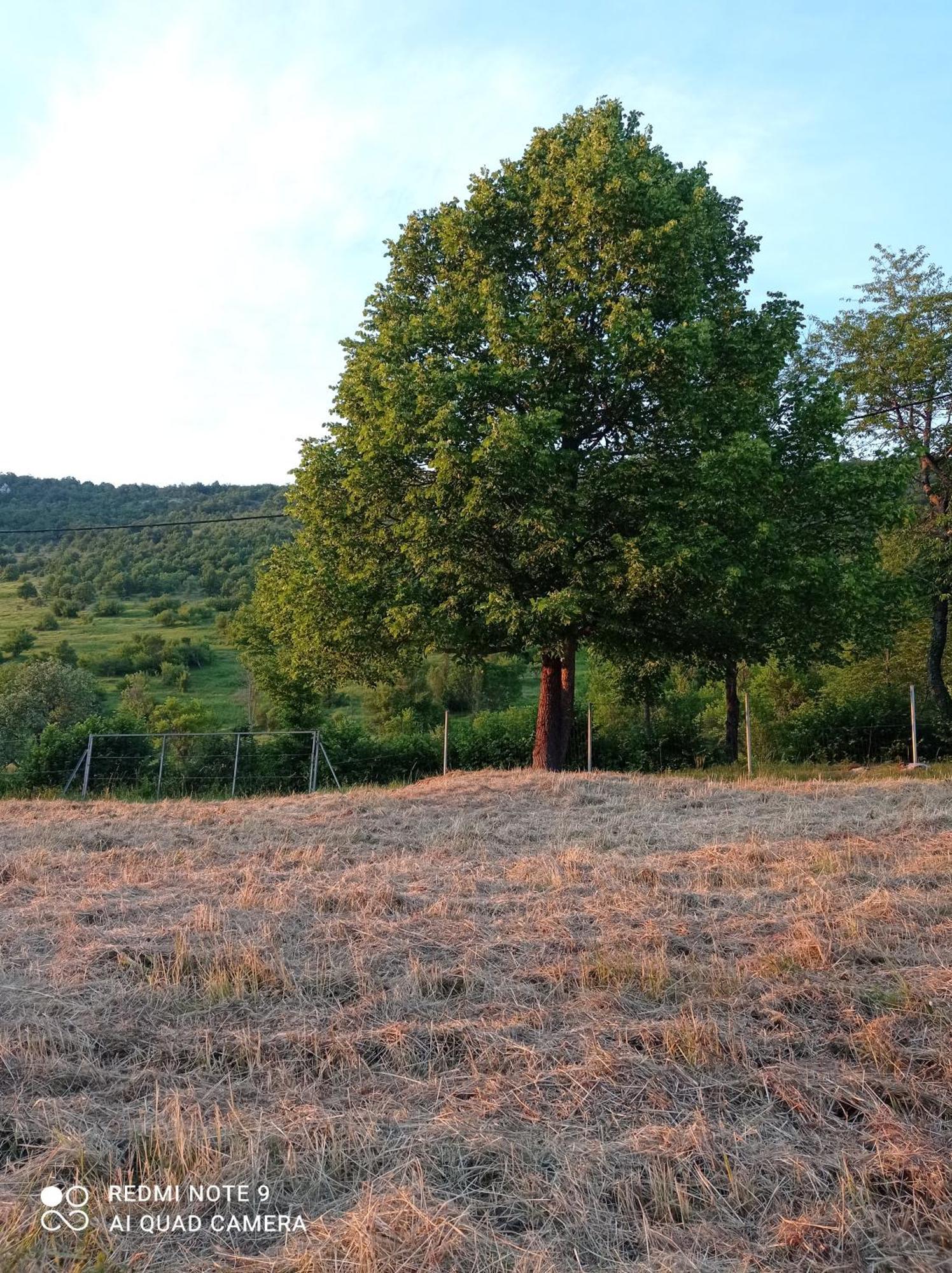 Studio Apartman Sonja Otočac Εξωτερικό φωτογραφία